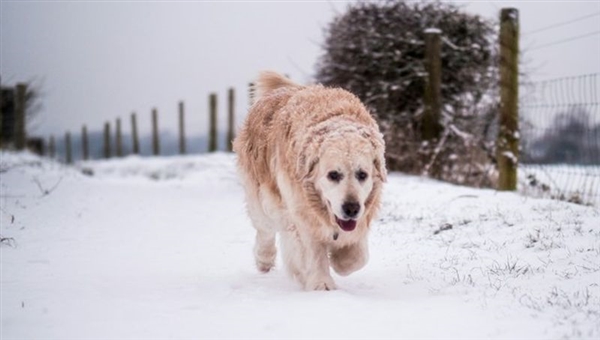 How to Protect your Driveway or Patio in Winter - Tarmac Surfacing Advice Ipswich